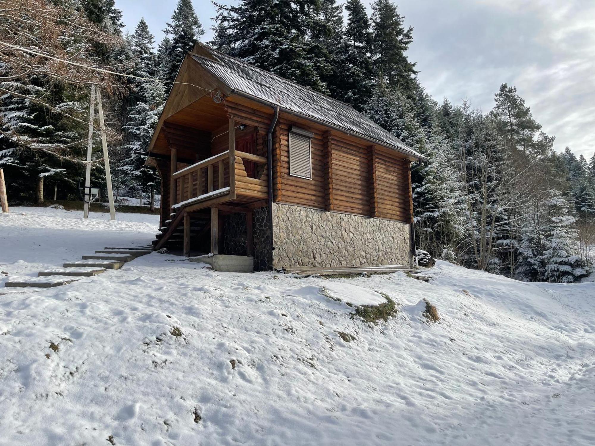 Karpatskyy Villa Rozluch Ngoại thất bức ảnh