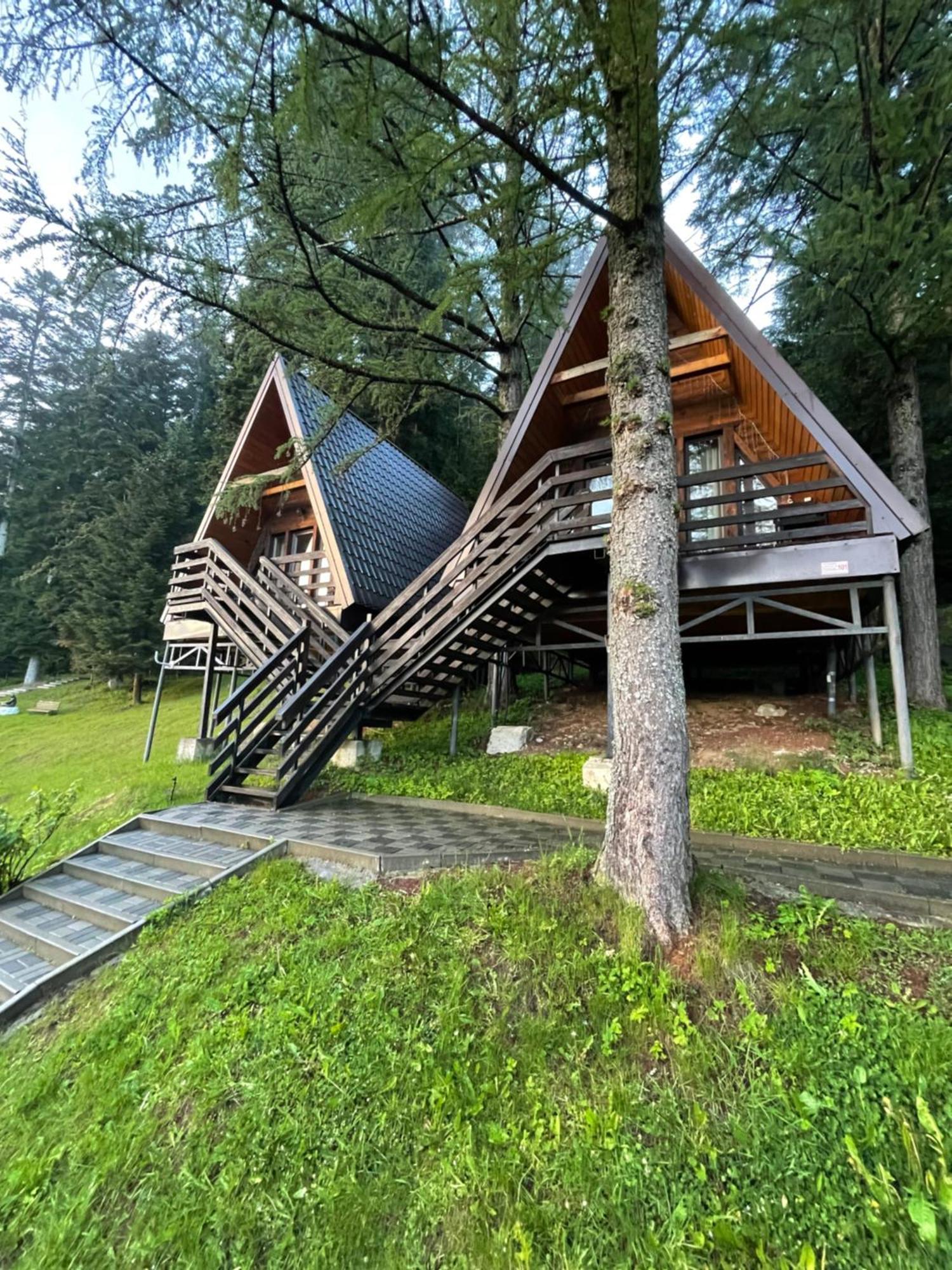 Karpatskyy Villa Rozluch Ngoại thất bức ảnh