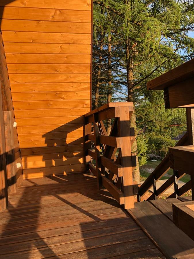 Karpatskyy Villa Rozluch Ngoại thất bức ảnh