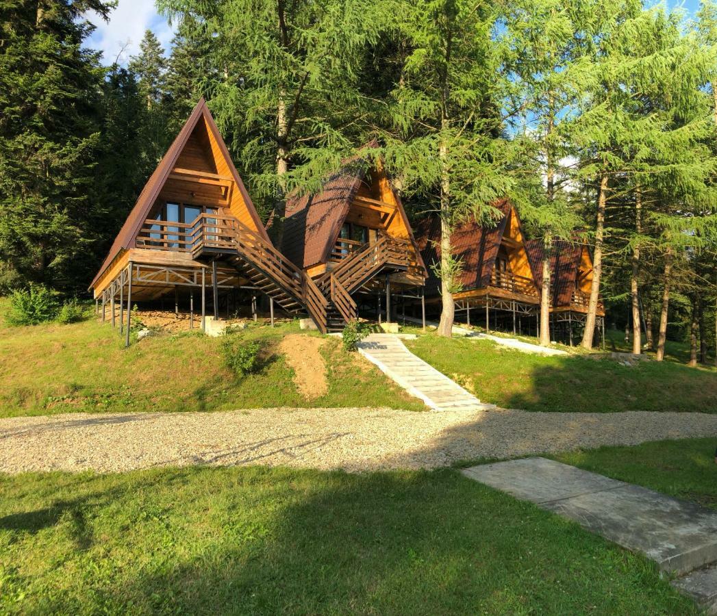 Karpatskyy Villa Rozluch Ngoại thất bức ảnh